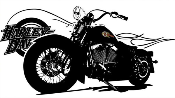 30 Mod/032 - Harley Davidson Softail Springer