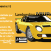 Certificat d'authenticité Mod-004 “Miura SV” – Spectra Yellow – T-shirt Collector (édition limitée à 25 exemplaires)